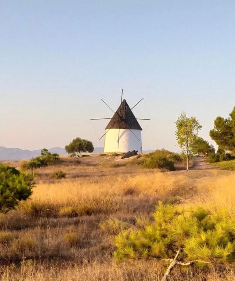 Cortijo Los Garridos - 8 Huespedes Fernan Perez Eksteriør bilde